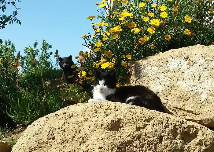 Сasa de vacaciones Podere Le Chiuse Sovana