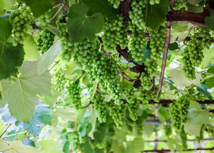Podere Le Chiuse Сasa de vacaciones