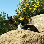 Casa vacanze Podere Le Chiuse Sovana